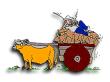 20060319110835-carreta.jpg