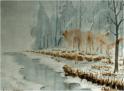20060512195602-invierno.jpg