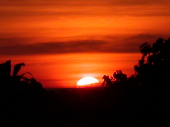 20060612214931-sunset.jpg