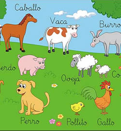 20060927193418-nivel-junior-originalarticleimage.jpg